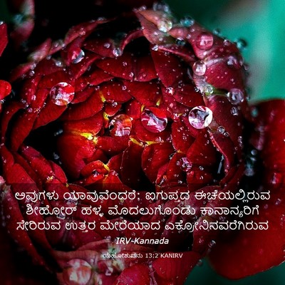 Picture 03 - ಯೆಹೋಶುವನು 13:2 KANIRV - ಅವುಗಳು - Bible Verse Picture