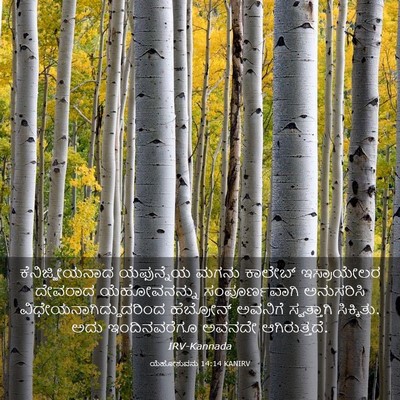 Picture 03 - ಯೆಹೋಶುವನು 14:14 KANIRV - ಕೆನಿಜ್ಜೀಯನಾದ - Bible Verse Picture