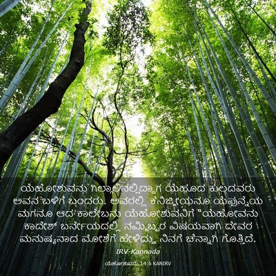 Picture 03 - ಯೆಹೋಶುವನು 14:6 KANIRV - ಯೆಹೋಶುವನು - Bible Verse Picture