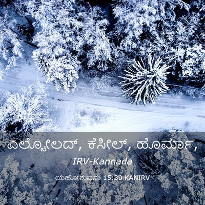 Picture 03 - ಯೆಹೋಶುವನು 15:30 KANIRV - ಎಲ್ಟೋಲದ್, ಕೆಸೀಲ್, - Bible Verse Picture