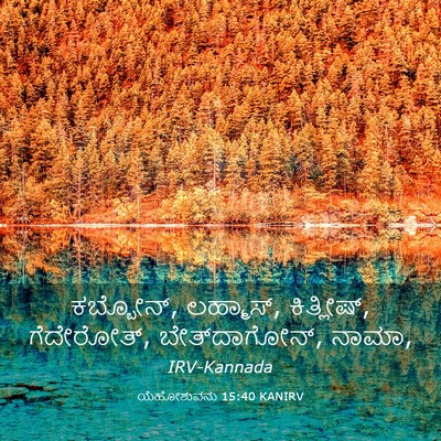 Picture 03 - ಯೆಹೋಶುವನು 15:40 KANIRV - ಕಬ್ಬೋನ್, ಲಹ್ಮಾಸ್, - Bible Verse Picture