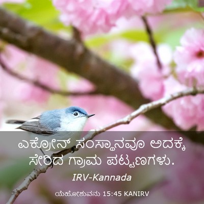 Picture 03 - ಯೆಹೋಶುವನು 15:45 KANIRV - ಎಕ್ರೋನ್ ಸಂಸ್ಥಾನವೂ - Bible Verse Picture