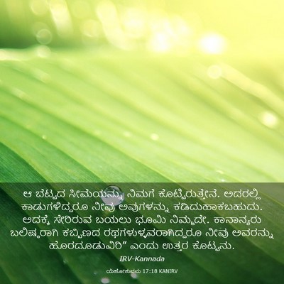 Picture 03 - ಯೆಹೋಶುವನು 17:18 KANIRV - ಆ ಬೆಟ್ಟದ - Bible Verse Picture