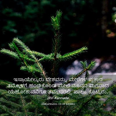 Picture 03 - ಯೆಹೋಶುವನು 19:49 KANIRV - ಇಸ್ರಾಯೇಲ್ಯರು - Bible Verse Picture