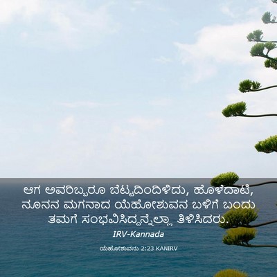 Picture 03 - ಯೆಹೋಶುವನು 2:23 KANIRV - ಆಗ ಅವರಿಬ್ಬರೂ - Bible Verse Picture