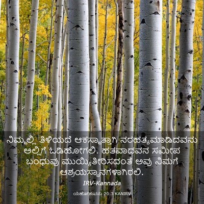 Picture 03 - ಯೆಹೋಶುವನು 20:3 KANIRV - ನಿಮ್ಮಲ್ಲಿ ತಿಳಿಯದೆ - Bible Verse Picture