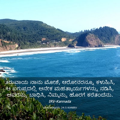 Picture 03 - ಯೆಹೋಶುವನು 24:5 KANIRV - ತರುವಾಯ ನಾನು ಮೋಶೆ, - Bible Verse Picture