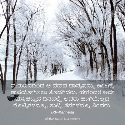 Picture 03 - ಯೆಹೋಶುವನು 5:11 KANIRV - ಮರುದಿನದಿಂದ ಆ ದೇಶದ - Bible Verse Picture