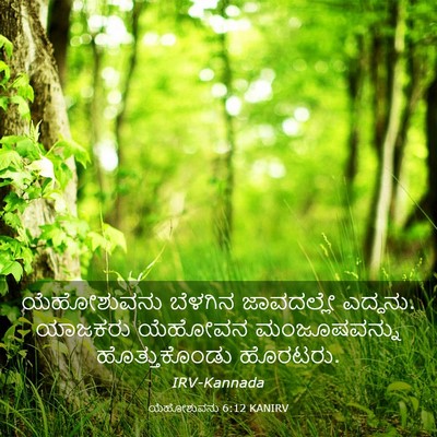 Picture 03 - ಯೆಹೋಶುವನು 6:12 KANIRV - ಯೆಹೋಶುವನು ಬೆಳಗಿನ - Bible Verse Picture