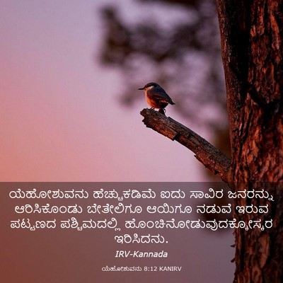 Picture 03 - ಯೆಹೋಶುವನು 8:12 KANIRV - ಯೆಹೋಶುವನು - Bible Verse Picture