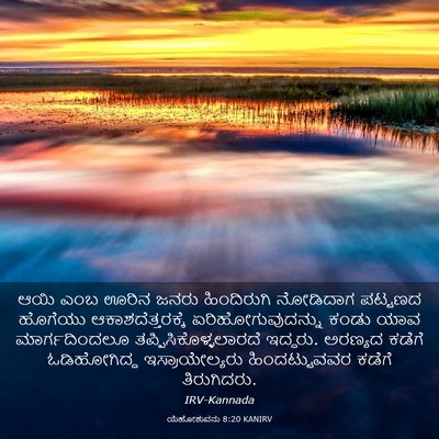 Picture 03 - ಯೆಹೋಶುವನು 8:20 KANIRV - ಆಯಿ ಎಂಬ ಊರಿನ ಜನರು - Bible Verse Picture