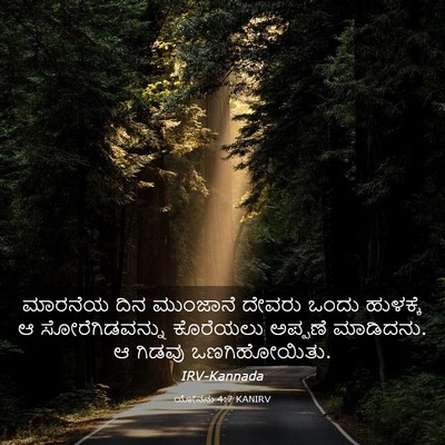 Picture 03 - ಯೋನನು 4:7 KANIRV - ಮಾರನೆಯ ದಿನ - Bible Verse Picture