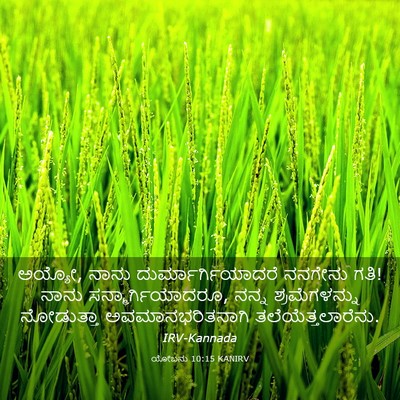 Picture 03 - ಯೋಬನು 10:15 KANIRV - ಅಯ್ಯೋ, ನಾನು - Bible Verse Picture
