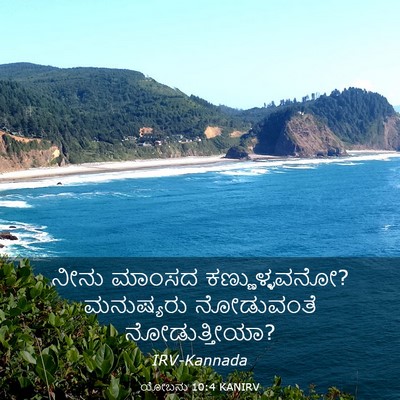 Picture 03 - ಯೋಬನು 10:4 KANIRV - ನೀನು ಮಾಂಸದ - Bible Verse Picture