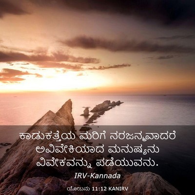 Picture 03 - ಯೋಬನು 11:12 KANIRV - ಕಾಡುಕತ್ತೆಯ ಮರಿಗೆ - Bible Verse Picture