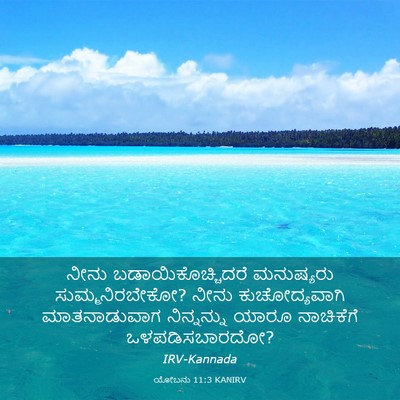 Picture 03 - ಯೋಬನು 11:3 KANIRV - ನೀನು - Bible Verse Picture