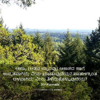 Picture 03 - ಯೋಬನು 11:8 KANIRV - ಆಹಾ, (ಆತನ ಜ್ಞಾನವು) - Bible Verse Picture