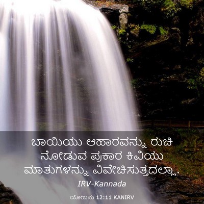 Picture 03 - ಯೋಬನು 12:11 KANIRV - ಬಾಯಿಯು ಆಹಾರವನ್ನು - Bible Verse Picture