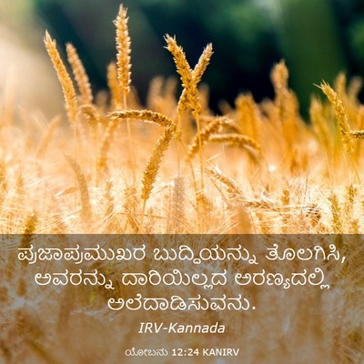 Picture 03 - ಯೋಬನು 12:24 KANIRV - ಪ್ರಜಾಪ್ರಮುಖರ - Bible Verse Picture