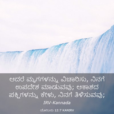 Picture 03 - ಯೋಬನು 12:7 KANIRV - ಆದರೆ ಮೃಗಗಳನ್ನು - Bible Verse Picture