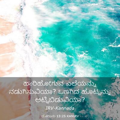 Picture 03 - ಯೋಬನು 13:25 KANIRV - ಹಾರಿಹೋಗುವ - Bible Verse Picture