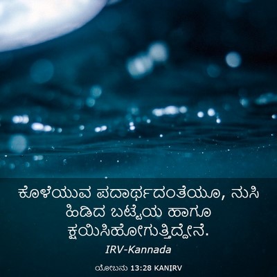 Picture 03 - ಯೋಬನು 13:28 KANIRV - ಕೊಳೆಯುವ - Bible Verse Picture