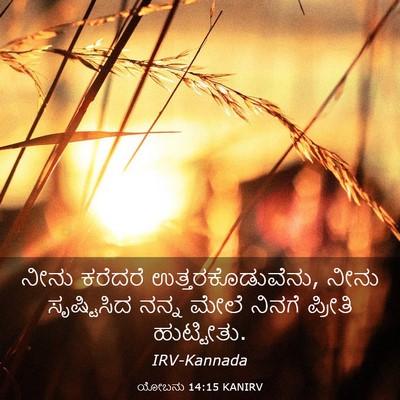 Picture 03 - ಯೋಬನು 14:15 KANIRV - ನೀನು ಕರೆದರೆ - Bible Verse Picture