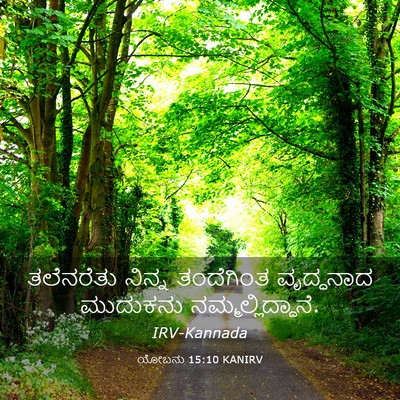Picture 03 - ಯೋಬನು 15:10 KANIRV - ತಲೆನರೆತು ನಿನ್ನ - Bible Verse Picture
