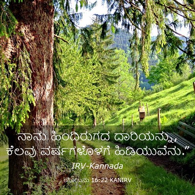 Picture 03 - ಯೋಬನು 16:22 KANIRV - ನಾನು ಹಿಂದಿರುಗದ - Bible Verse Picture