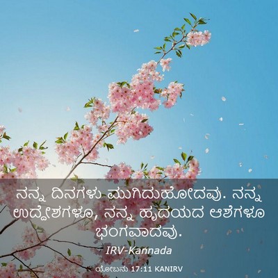 Picture 03 - ಯೋಬನು 17:11 KANIRV - ನನ್ನ ದಿನಗಳು - Bible Verse Picture