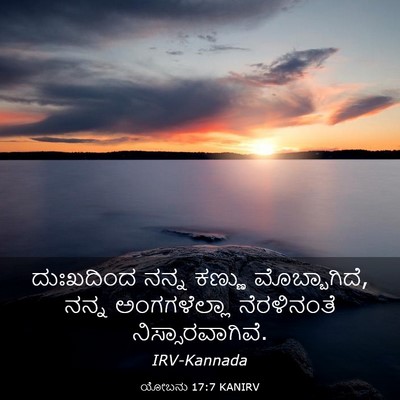 Picture 03 - ಯೋಬನು 17:7 KANIRV - ದುಃಖದಿಂದ ನನ್ನ - Bible Verse Picture