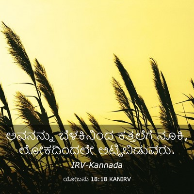 Picture 03 - ಯೋಬನು 18:18 KANIRV - ಅವನನ್ನು ಬೆಳಕಿನಿಂದ - Bible Verse Picture
