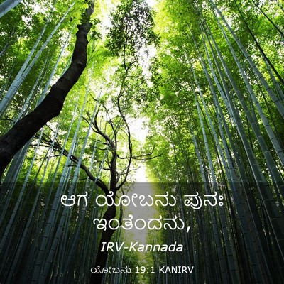 Picture 03 - ಯೋಬನು 19:1 KANIRV - ಆಗ ಯೋಬನು ಪುನಃ - Bible Verse Picture