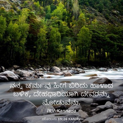 Picture 03 - ಯೋಬನು 19:26 KANIRV - ನನ್ನ ಚರ್ಮವು ಹೀಗೆ - Bible Verse Picture