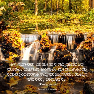 Picture 03 - ಯೋಬನು 2:7 KANIRV - ಆಗ ಸೈತಾನನು ಯೆಹೋವನ - Bible Verse Picture