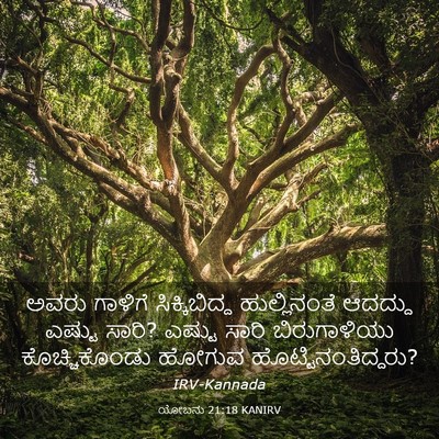 Picture 03 - ಯೋಬನು 21:18 KANIRV - ಅವರು ಗಾಳಿಗೆ - Bible Verse Picture