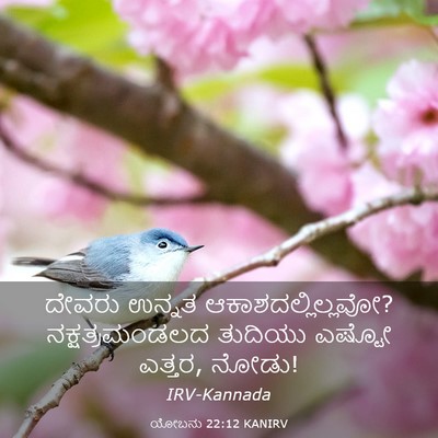 Picture 03 - ಯೋಬನು 22:12 KANIRV - ದೇವರು ಉನ್ನತ - Bible Verse Picture