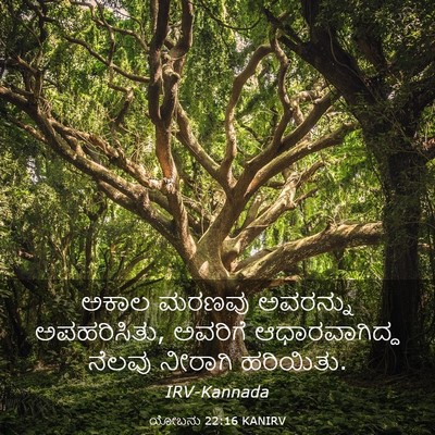 Picture 03 - ಯೋಬನು 22:16 KANIRV - ಅಕಾಲ ಮರಣವು - Bible Verse Picture