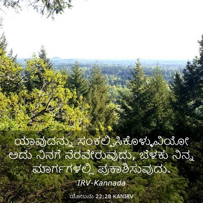 Picture 03 - ಯೋಬನು 22:28 KANIRV - ಯಾವುದನ್ನು - Bible Verse Picture