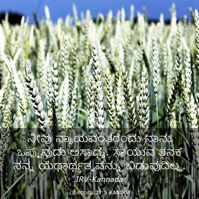 Picture 03 - ಯೋಬನು 27:5 KANIRV - ನೀವು - Bible Verse Picture