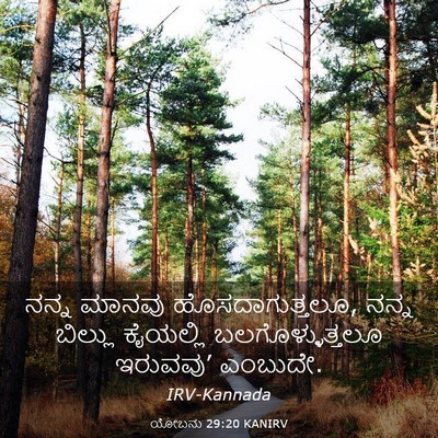 Picture 03 - ಯೋಬನು 29:20 KANIRV - ನನ್ನ ಮಾನವು - Bible Verse Picture
