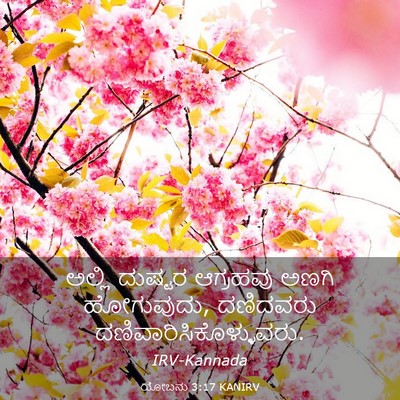 Picture 03 - ಯೋಬನು 3:17 KANIRV - ಅಲ್ಲಿ ದುಷ್ಟರ - Bible Verse Picture