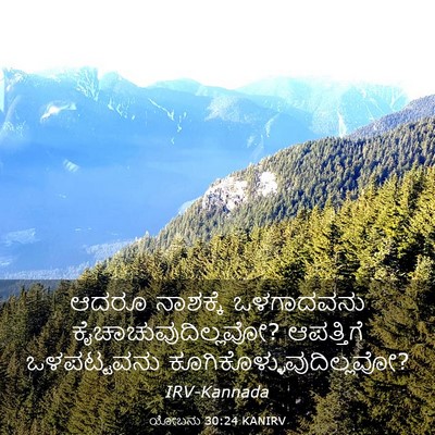 Picture 03 - ಯೋಬನು 30:24 KANIRV - ಆದರೂ ನಾಶಕ್ಕೆ - Bible Verse Picture