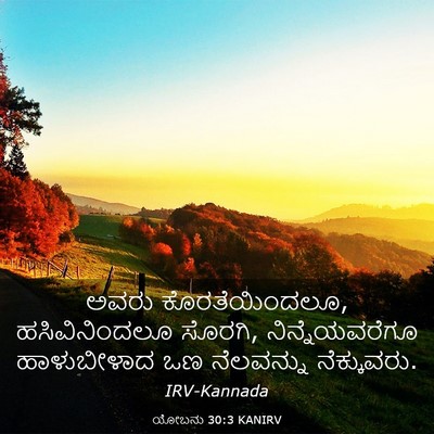 Picture 03 - ಯೋಬನು 30:3 KANIRV - ಅವರು ಕೊರತೆಯಿಂದಲೂ, - Bible Verse Picture