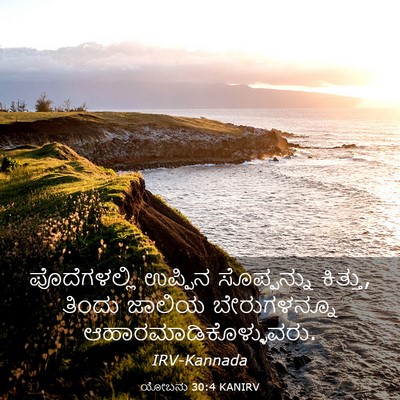 Picture 03 - ಯೋಬನು 30:4 KANIRV - ಪೊದೆಗಳಲ್ಲಿ ಉಪ್ಪಿನ - Bible Verse Picture
