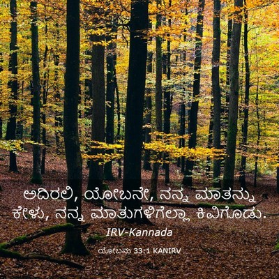 Picture 03 - ಯೋಬನು 33:1 KANIRV - ಅದಿರಲಿ, ಯೋಬನೇ, ನನ್ನ - Bible Verse Picture