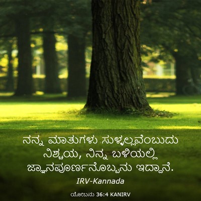 Picture 03 - ಯೋಬನು 36:4 KANIRV - ನನ್ನ ಮಾತುಗಳು - Bible Verse Picture