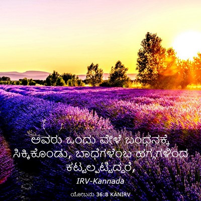 Picture 03 - ಯೋಬನು 36:8 KANIRV - ಅವರು ಒಂದು ವೇಳೆ - Bible Verse Picture