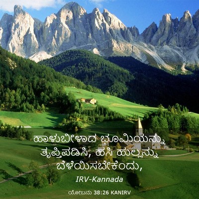 Picture 03 - ಯೋಬನು 38:26 KANIRV - ಹಾಳುಬೀಳಾದ - Bible Verse Picture