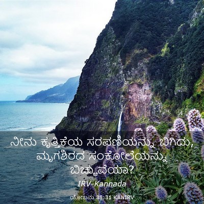 Picture 03 - ಯೋಬನು 38:31 KANIRV - ನೀನು ಕೃತ್ತಿಕೆಯ - Bible Verse Picture